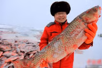 Hình ảnh bắt cá khủng giữa hồ đóng băng kiếm bộn tiền