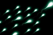 “Bật mí” cách tăng lượng “con giống” tự nhiên cho nam giới