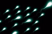 “Bật mí” cách tăng lượng “con giống” tự nhiên cho nam giới