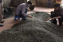 Hình ảnh rùng mình làng bánh kẹo siêu rẻ giữa Hà Nội