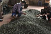 Hình ảnh rùng mình làng bánh kẹo siêu rẻ giữa Hà Nội