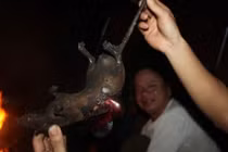 Những đặc sản Mường La thấy thì sợ nhưng ăn là nghiện