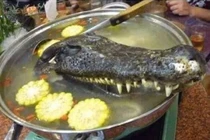 Rợn người với những món ăn kinh dị từ cá sấu