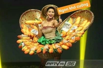 Những trang phục dân tộc độc lạ của các thí sinh Miss Universe