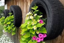 Những ý tưởng biến lốp xe cũ thành vườn xinh
