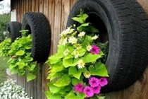 Những ý tưởng biến lốp xe cũ thành vườn xinh
