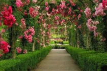 Bình yên với lối đi vào vườn nhà đẹp như cổ tích