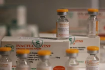 Sắp lưu hành vaccine cúm mùa, A/H5N1 do Việt Nam sản xuất