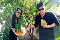 Thăm vườn hoa trái sai trĩu của các sao nam Việt