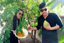 Thăm vườn hoa trái sai trĩu của các sao nam Việt