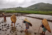 Vùng đất bí ẩn kỳ quái, quanh năm sống chung với mưa