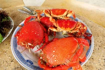 Những món hải sản tươi ngon "quên lối về" của đảo Lý Sơn