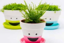 Tự trang trí chậu hoa để bàn siêu dễ thương