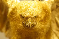 Những hình ảnh gây choáng váng về vàng