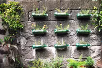 Bật mí cách chế vỏ chai nhựa trang trí nhà cực độc