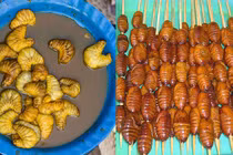 Không ngờ quê hương cầu thủ Hà Đức Chinh lại có những món ăn độc lạ này