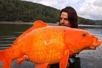 Những thủy quái khủng bị con người chinh phục (9)