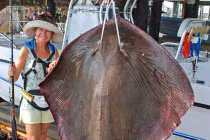 Những thủy quái khủng bị con người chinh phục (11)