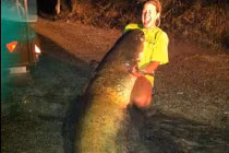 Những thủy quái khủng bị con người chinh phục (10)