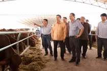 Đọ độ khủng "trại lợn" của bầu Đức và bầu Long