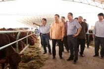 Đọ độ khủng "trại lợn" của bầu Đức và bầu Long