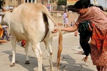 Những bí quyết làm đẹp kỳ dị của người Ấn Độ cổ đại