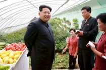 Ngắm nông trại hiện đại ở Triều Tiên
