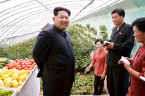 Ngắm nông trại hiện đại ở Triều Tiên