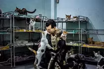 Người đàn ông Pháp nuôi hàng trăm chó mèo bị bỏ rơi ở Sài Gòn