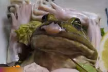 10 món đặc sản kỳ quặc nhất