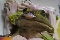 10 món đặc sản kỳ quặc nhất