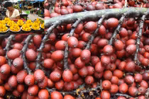 Tò mò loại quả làm đẹp cho chị em “đẻ” ra tiền