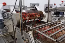 Mỹ đưa nhà máy tương ớt Việt Nam vào tour tham quan khủng