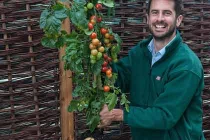 Kỳ diệu loài cây sản sinh cả khoai tây lẫn... cà chua