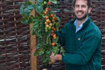 Kỳ diệu loài cây sản sinh cả khoai tây lẫn... cà chua