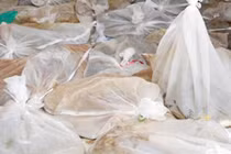 Phát hiện gần nửa tấn rắn hổ mang ở khu vực biên giới 