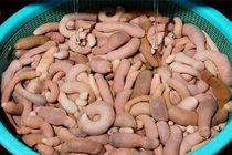 Khám phá món cá hình “của quý” khiến nhiều thực khách sợ khóc thét