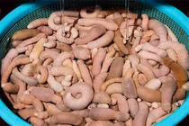 Khám phá món cá hình “của quý” khiến nhiều thực khách sợ khóc thét