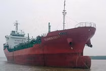 Tàu Sunrise 689 sẽ về Vũng Tàu đêm 10/10