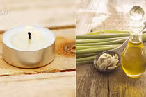 7 mẹo đơn giản đuổi sạch ruồi ra khỏi nhà 99% chị em chưa biết