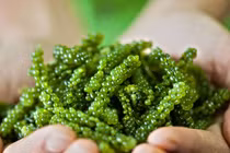 Những siêu thực phẩm tốt nhất cho nhan sắc phụ nữ