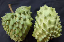 Tò mò giống na châu Mỹ cực độc