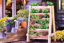 Những ý tưởng trồng vườn rau xanh mini trong nhà