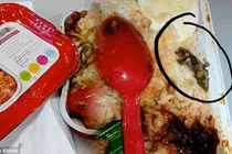 Sốc vì nhai phải thằn lằn chết trong thức ăn trên máy bay