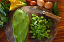 Xương rồng, món đặc sản kỳ lạ ở Quảng Nam 