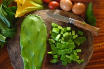 Xương rồng, món đặc sản kỳ lạ ở Quảng Nam 