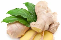 Gừng giúp phòng ngừa ung thư ruột kết