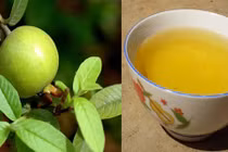 Gội loại lá dân dã này, tóc chị em sẽ giảm rụng chỉ sau một đêm