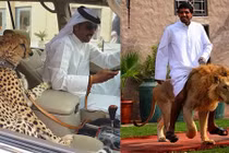 Xem đại gia nuôi mãnh thú, thể hiện đẳng cấp