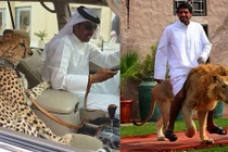 Xem đại gia nuôi mãnh thú, thể hiện đẳng cấp